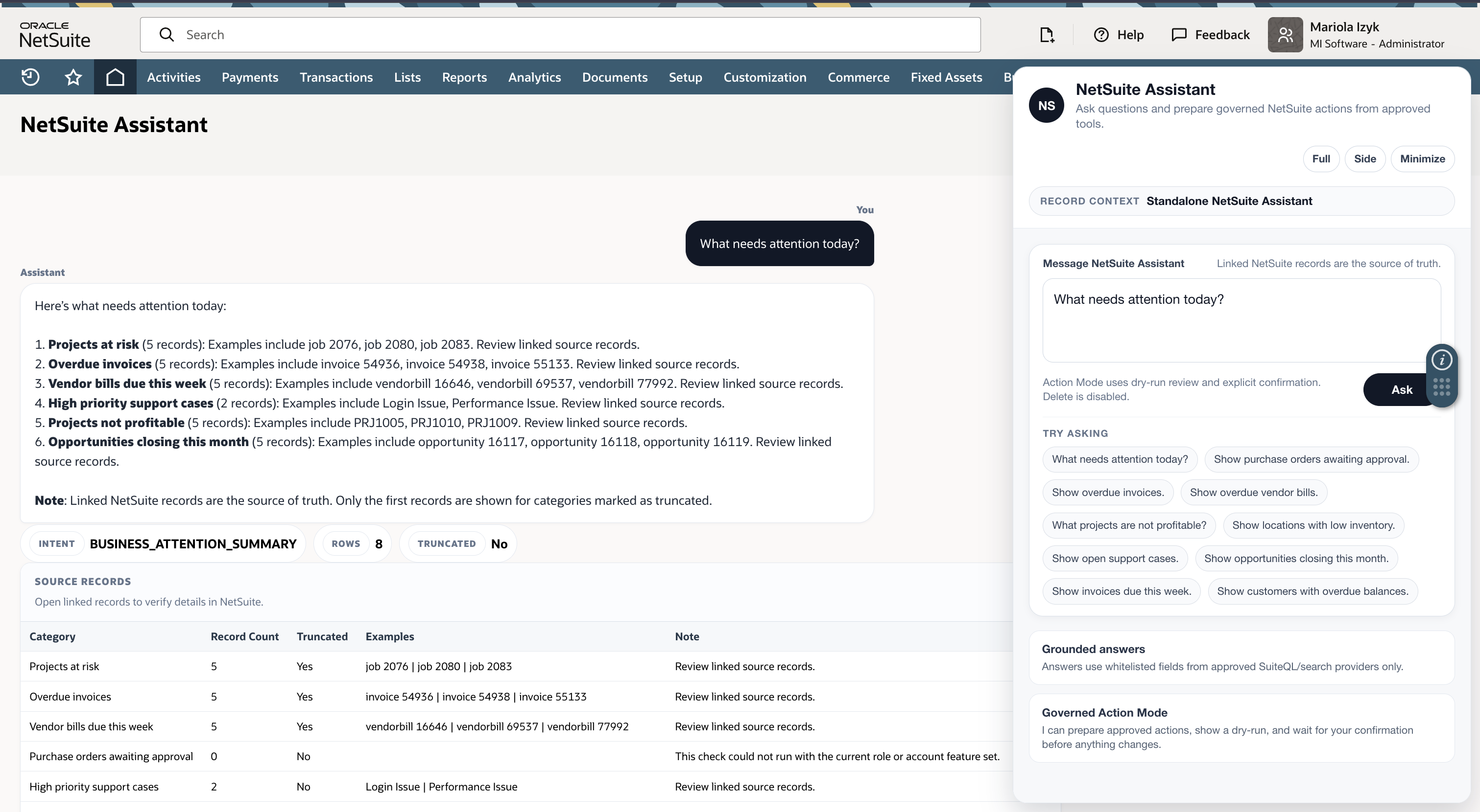 NetSuite Assistant custom AI solution screenshot